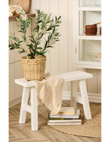 OLIVIER EN POT - IB LAURSEN