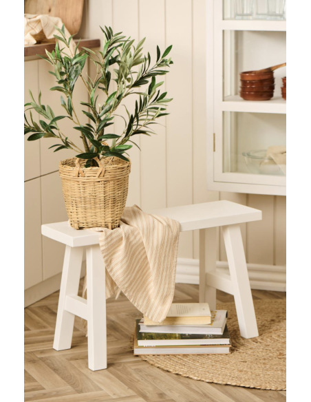 OLIVIER EN POT - IB LAURSEN