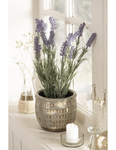 LAVANDE EN POT - IB LAURSEN