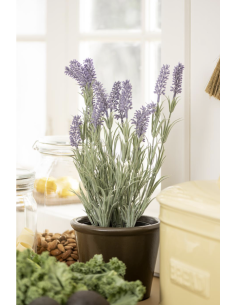 LAVANDE EN POT - IB LAURSEN 2