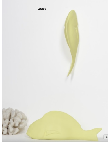 POISSON EN CÉRAMIQUE FANNY LA DAURADE - MONOCHROMIC