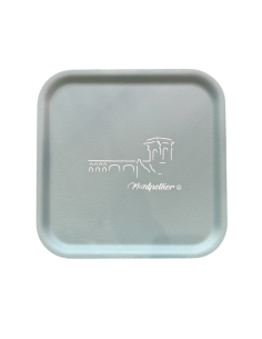 PLATEAU CARRÉ MONTPELLIER - SOPHIE JANIERE 2