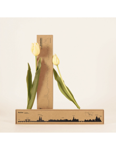 THE LINE - LA SILHOUETTE DES VILLES