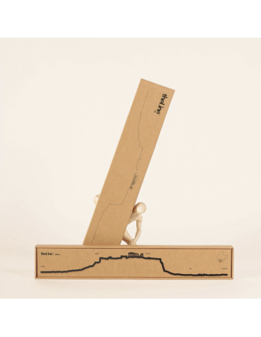 THE LINE - LA SILHOUETTE DES VILLES