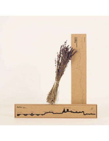 THE LINE - LA SILHOUETTE DES VILLES