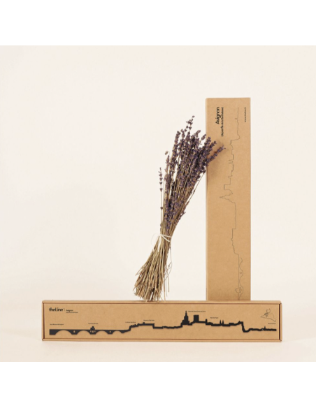 THE LINE - LA SILHOUETTE DES VILLES