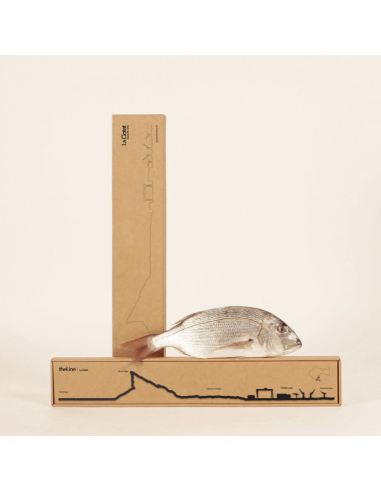 THE LINE - LA SILHOUETTE DES VILLES