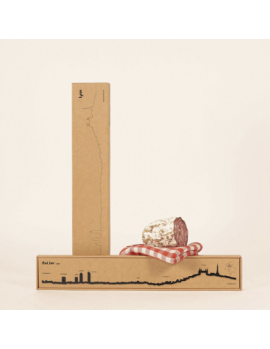 THE LINE - LA SILHOUETTE DES VILLES