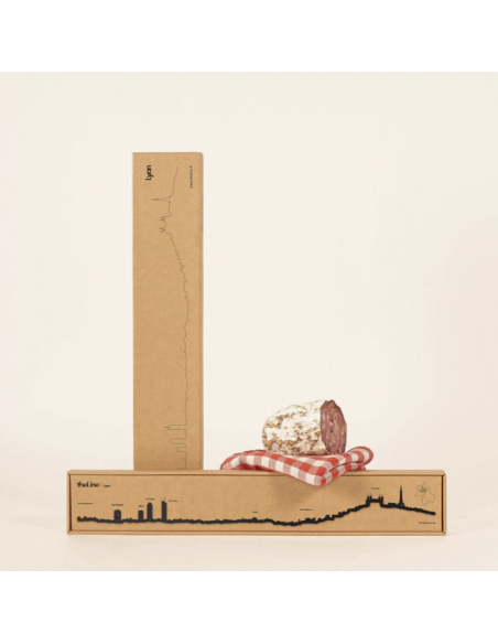 THE LINE - LA SILHOUETTE DES VILLES