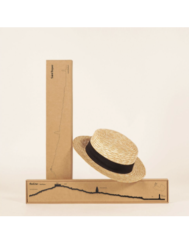 THE LINE - LA SILHOUETTE DES VILLES