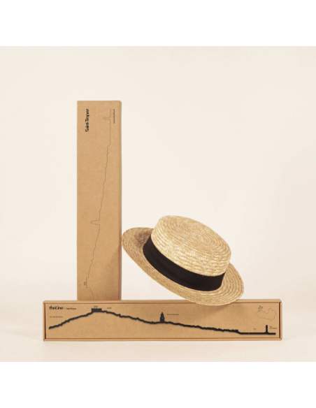 THE LINE - LA SILHOUETTE DES VILLES