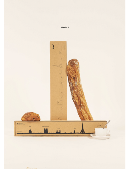 THE LINE - LA SILHOUETTE DES VILLES