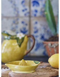 PRESSE AGRUMES CITRON - BLOOMINGVILLE