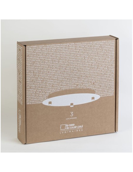 PLAFONNIER TRIPLE - LA CASE DE COUSIN PAUL