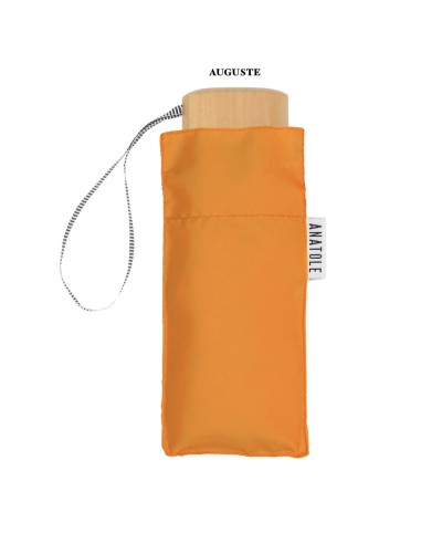 PARAPLUIE PLIANT MICRO & SOLIDE - ANATOLE