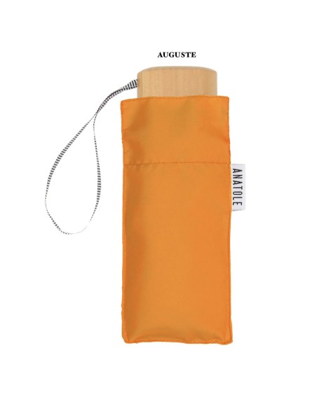 PARAPLUIE PLIANT MICRO & SOLIDE - ANATOLE