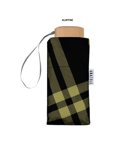 PARAPLUIE PLIANT MICRO & SOLIDE - ANATOLE