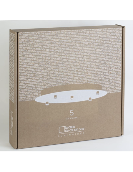 PLAFONNIER 5 ACIER  - LA CASE DE COUSIN PAUL