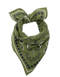 PETIT FOULARD OSCAR - MILINANE 2