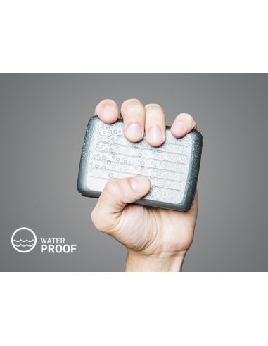 PORTE CARTES STOCKHOLM - OGON