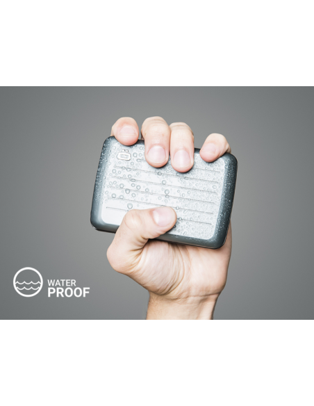 PORTE CARTES STOCKHOLM - OGON