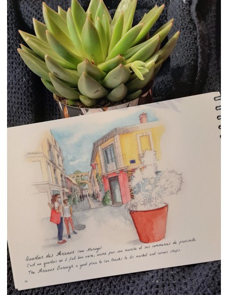 LIVRE AQUARELLE DE MONTPELLIER - STELLA FALDUTO