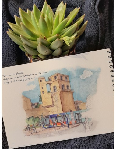 LIVRE AQUARELLE DE MONTPELLIER - STELLA FALDUTO