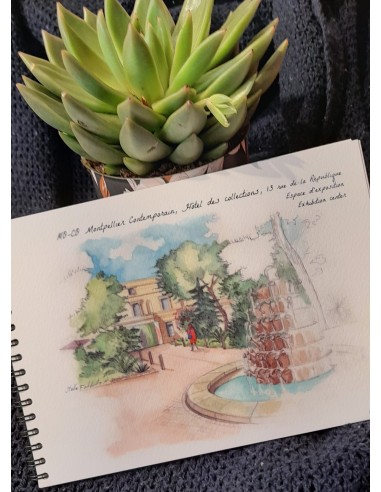 LIVRE AQUARELLE DE MONTPELLIER - STELLA FALDUTO