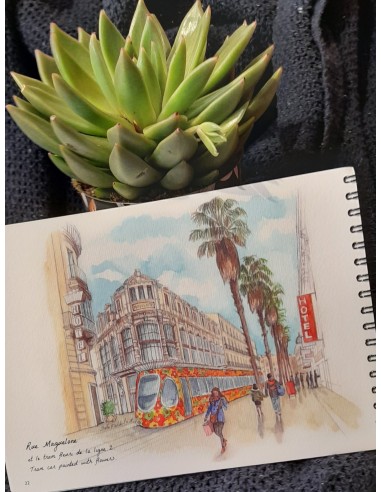 LIVRE AQUARELLE DE MONTPELLIER - STELLA FALDUTO